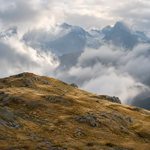 Golden grassy mountain slope with scattered gray rocks before cloud-wrapped snowy peaks.