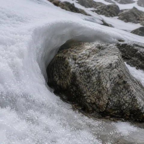 Close view of granular snow forming a hollow around a mottled gray-brown boulder.
