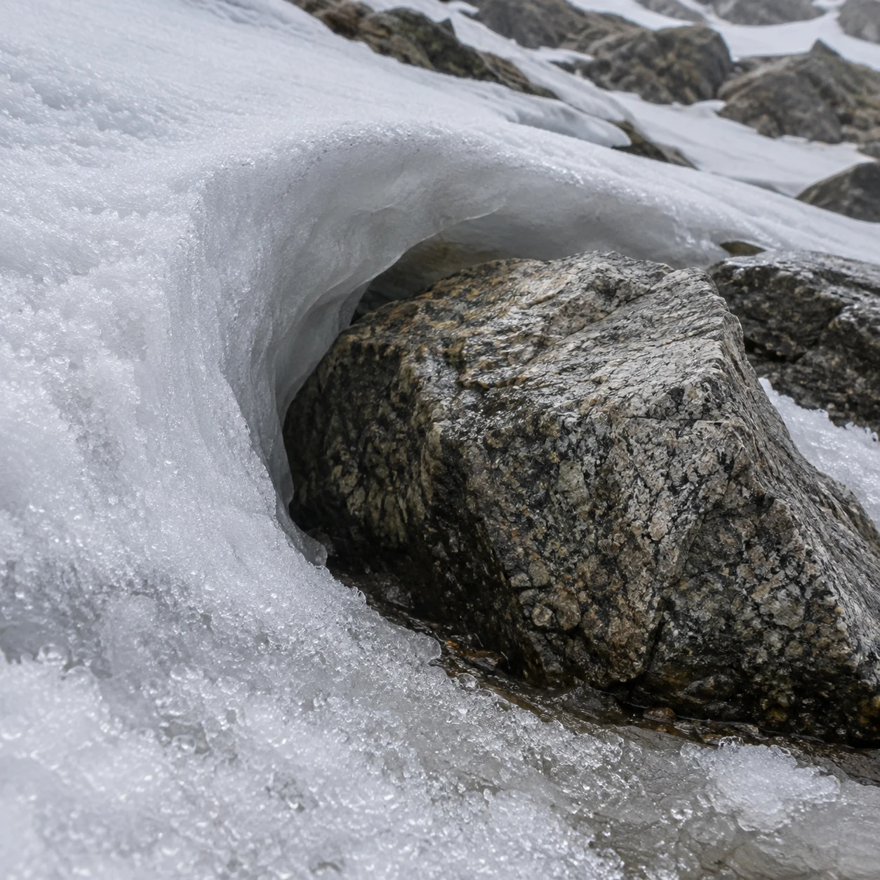 Close view of granular snow forming a hollow around a mottled gray-brown boulder.
