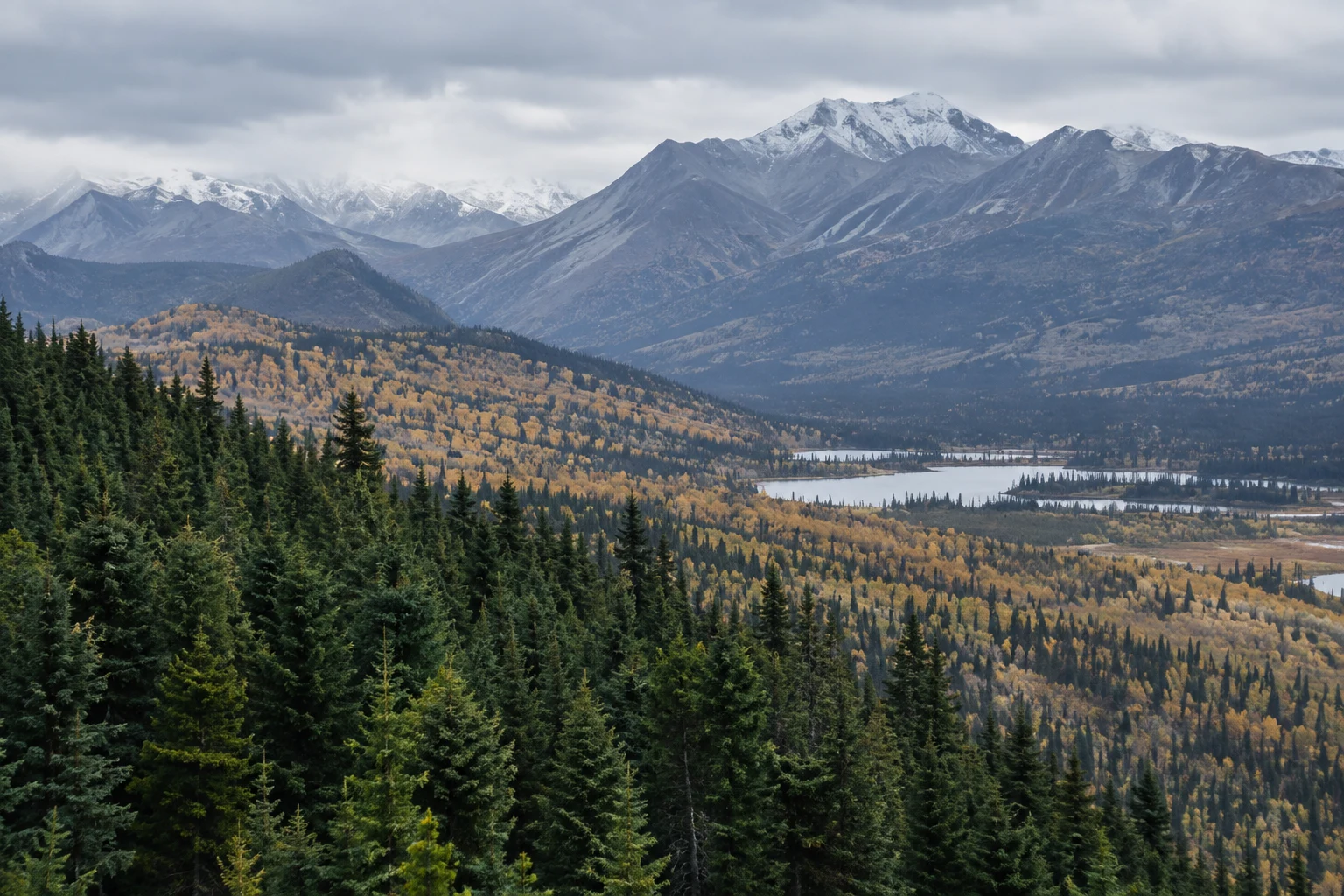 Green foreground conifers before a golden wooded slope and distant gray snowy mountains.