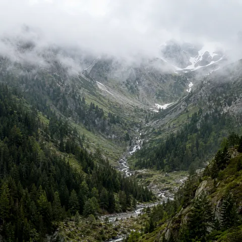 Square view of a forested mountain gully with a cascading stream and clouds hiding the upper rock slopes.