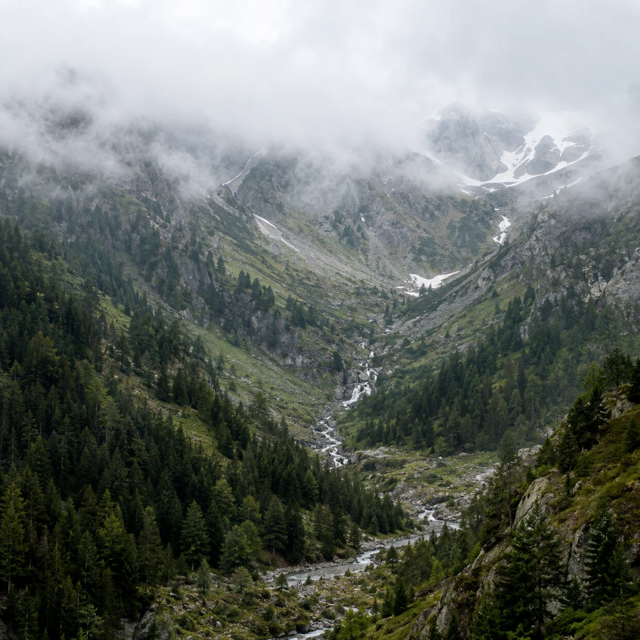 Square view of a forested mountain gully with a cascading stream and clouds hiding the upper rock slopes.