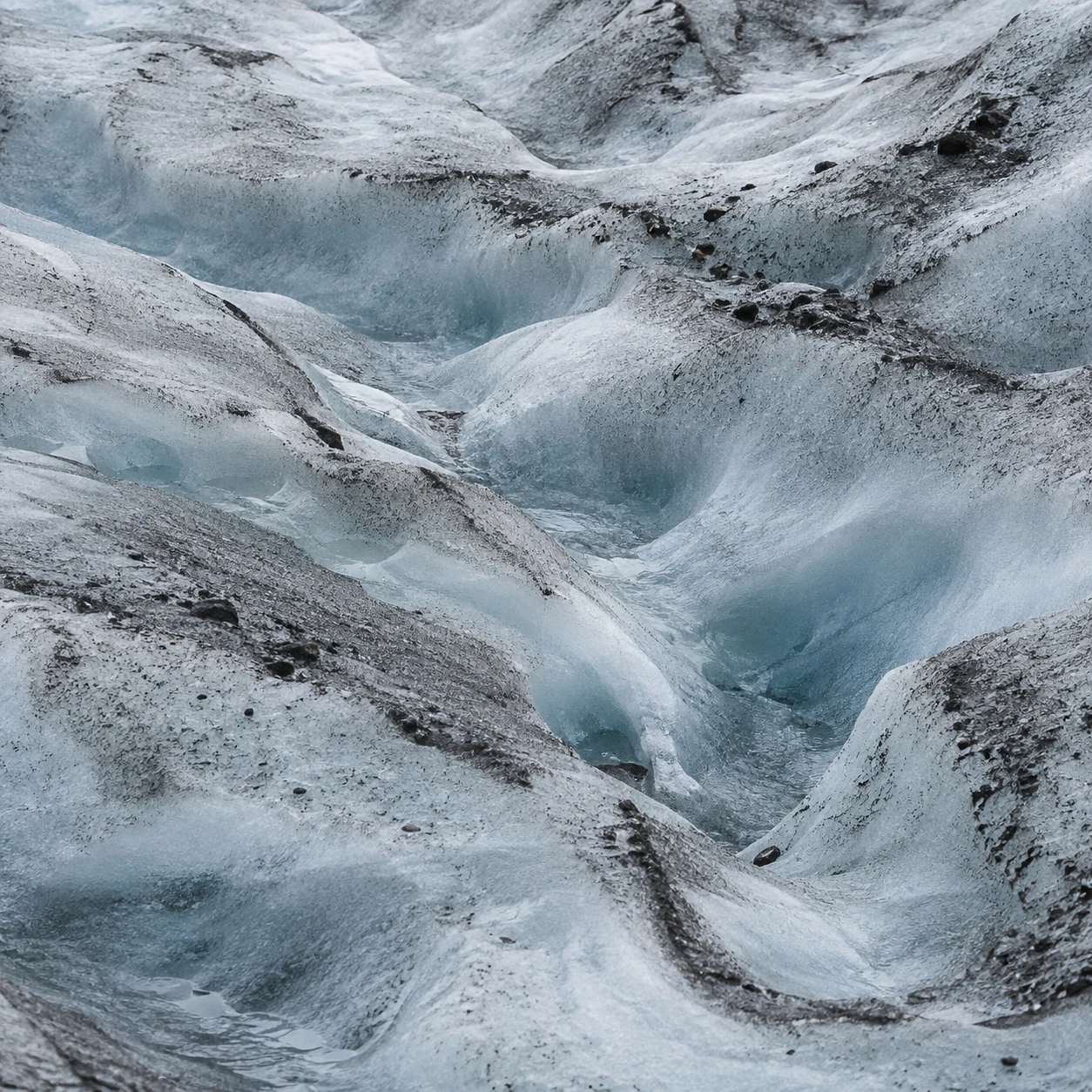 Close square study of shallow glacier ice hollows with dark grit and pale blue melt pockets.