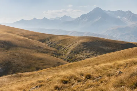 Rounded golden grass hills with a shallow diagonal gully and pale distant mountains.