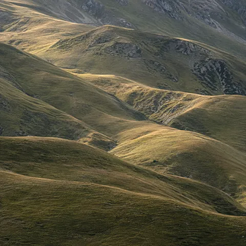 Horizonless overlapping grassy hills with warm lit crests, dark green patches and scattered gray rock.