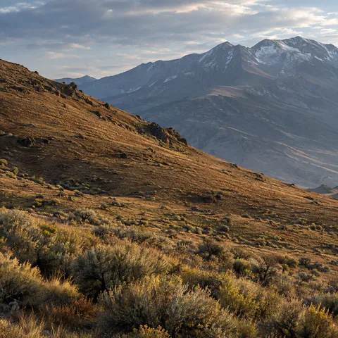 Golden-brown diagonal hillside with sage shrubs in front of blue-gray snowy mountains under broken cloud.