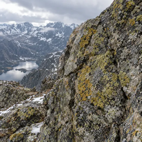 Close fractured granite covered with yellow and pale green lichen, with softer snowy mountains and lakes beyond.