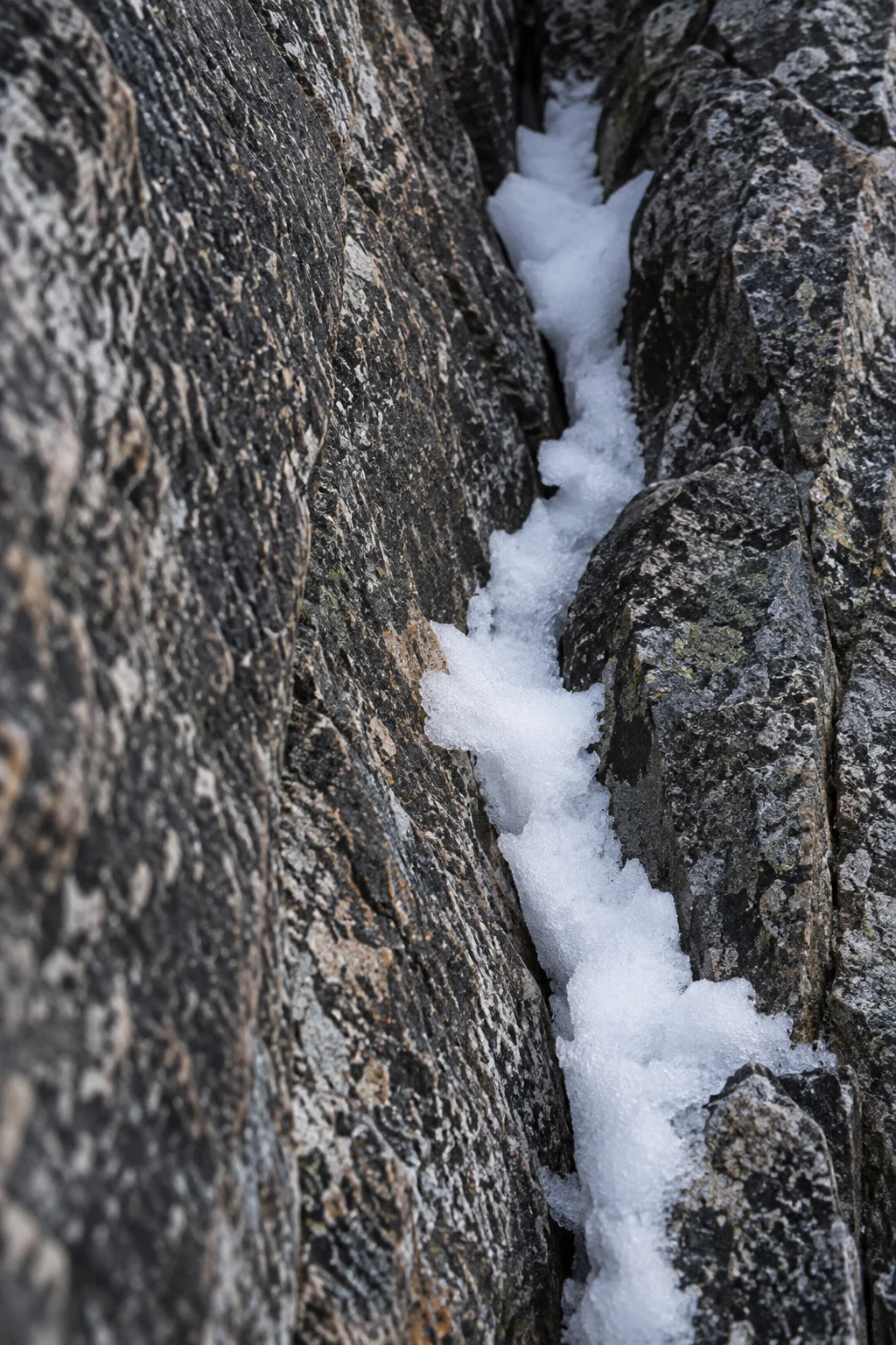 Close vertical crack between dark veined rocks filled with irregular granular white snow.