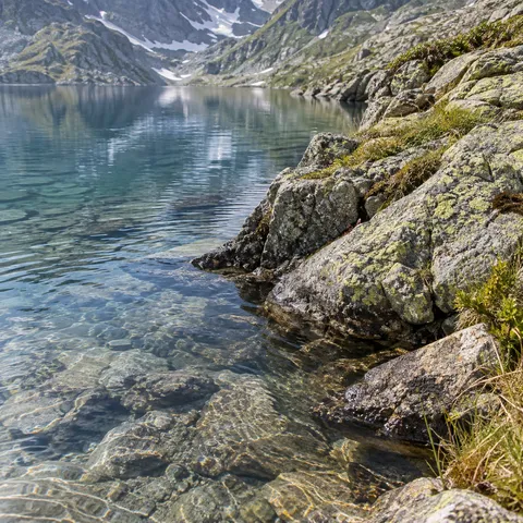 Close rocky lake shore at right with yellow-green lichen and grass, clear blue water and sunlit submerged stones at left.