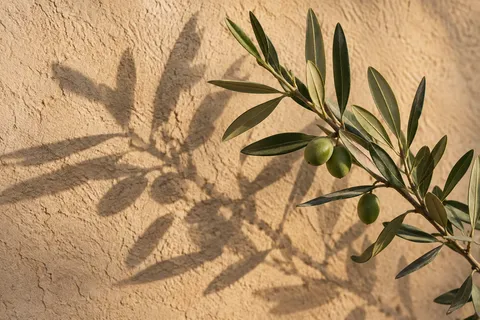 Gray-green olive leaves and three green olives beside a shadow on ochre plaster.