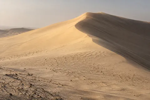 Pale sand dune with a curving crest, shaded right face and finely textured foreground beneath a hazy gray sky.