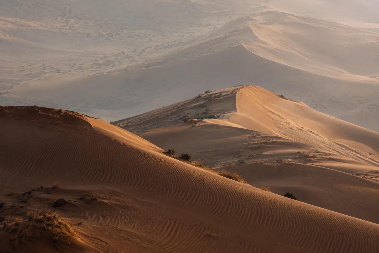 Layered ochre dunes with fine foreground ripples, sparse scrub and pale distant ridges fading into dusty air.