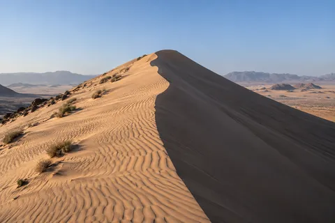 Sand dune crest rising toward a peak, with sunlit ripples and sparse shrubs on the left and a shaded slope on the right.