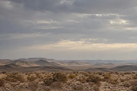 Sparse desert scrub and low layered ridges beneath a broad softly clouded gray sky.