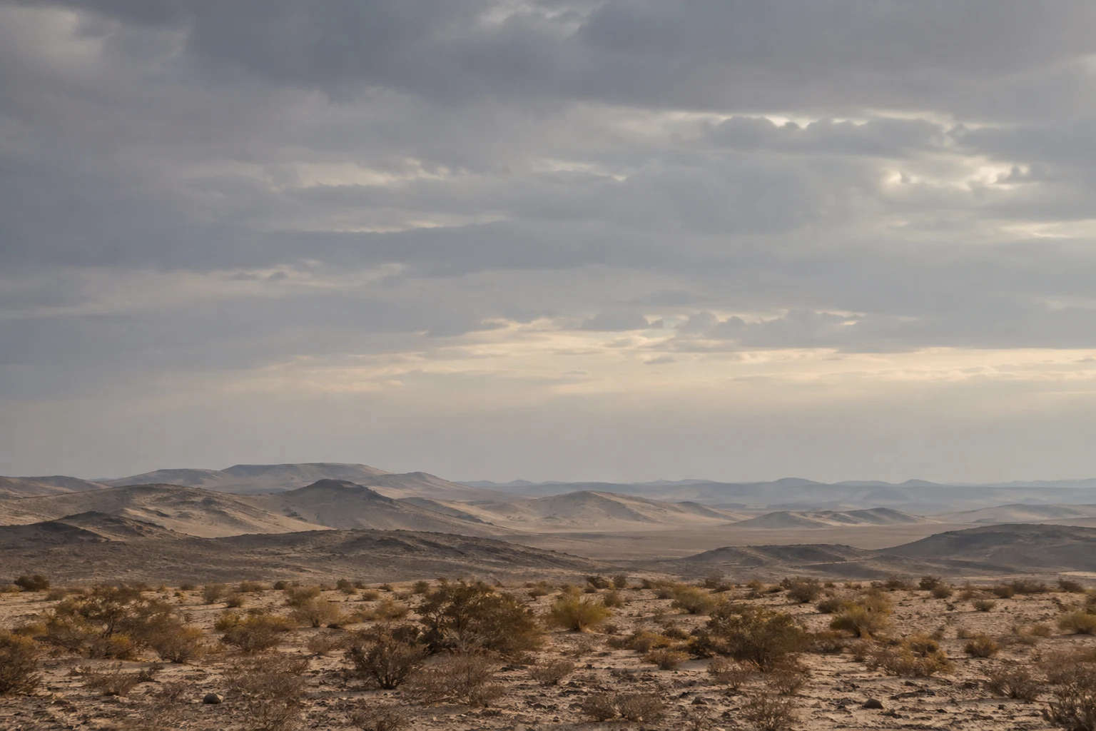Sparse desert scrub and low layered ridges beneath a broad softly clouded gray sky.
