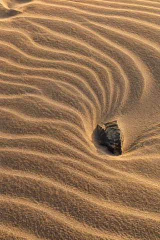 Close overhead view of warm sand ripples curving around one dark embedded stone.