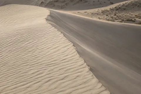 Pale rippled sand meeting a smooth shaded dune face along a diagonal crest.