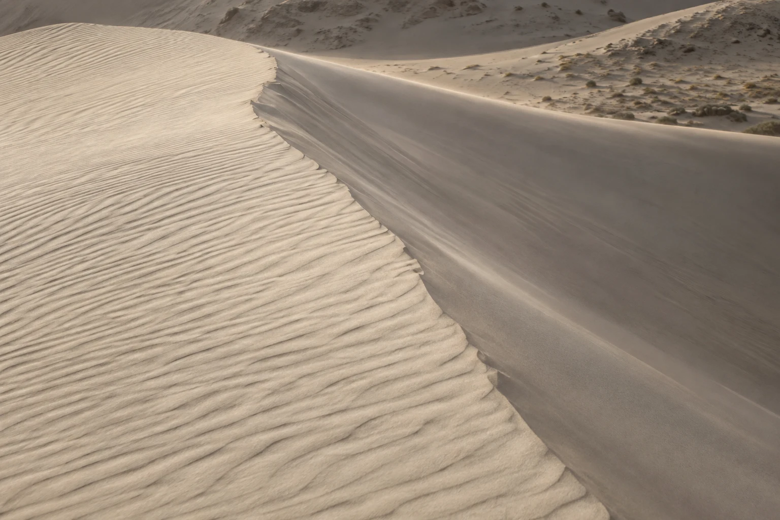 Pale rippled sand meeting a smooth shaded dune face along a diagonal crest.