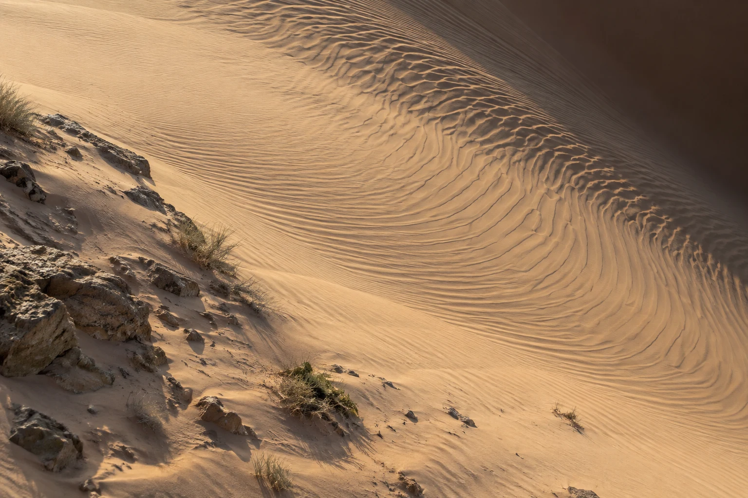 Curving wind ripples across a pale sand slope beside a rough rocky edge with sparse dry plants.