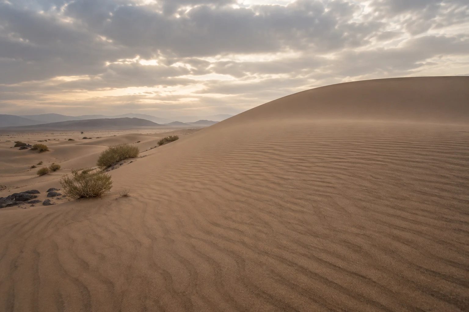 Softly lit sand ripples on a broad gently rising dune beneath a clouded sky, with sparse shrubs at left.