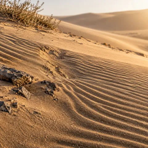 Close diagonal sand ripples interrupted by a roughened seam and small stones, with dry scrub at the upper edge.