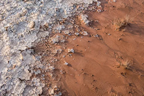 Overhead detail of broken white salt crust meeting reddish-brown earth with scattered fragments and dry twigs.