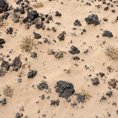 Overhead view of irregular dark stones and sparse dry plants scattered across pale sand.