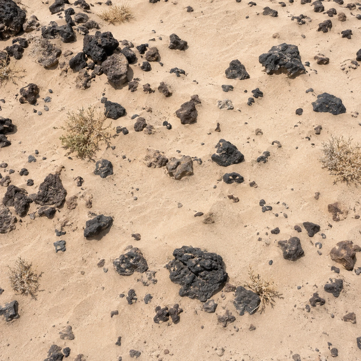 Overhead view of irregular dark stones and sparse dry plants scattered across pale sand.