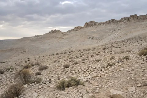 Pale scree slope with scattered scrub below a low eroded ridge and gray cloud.