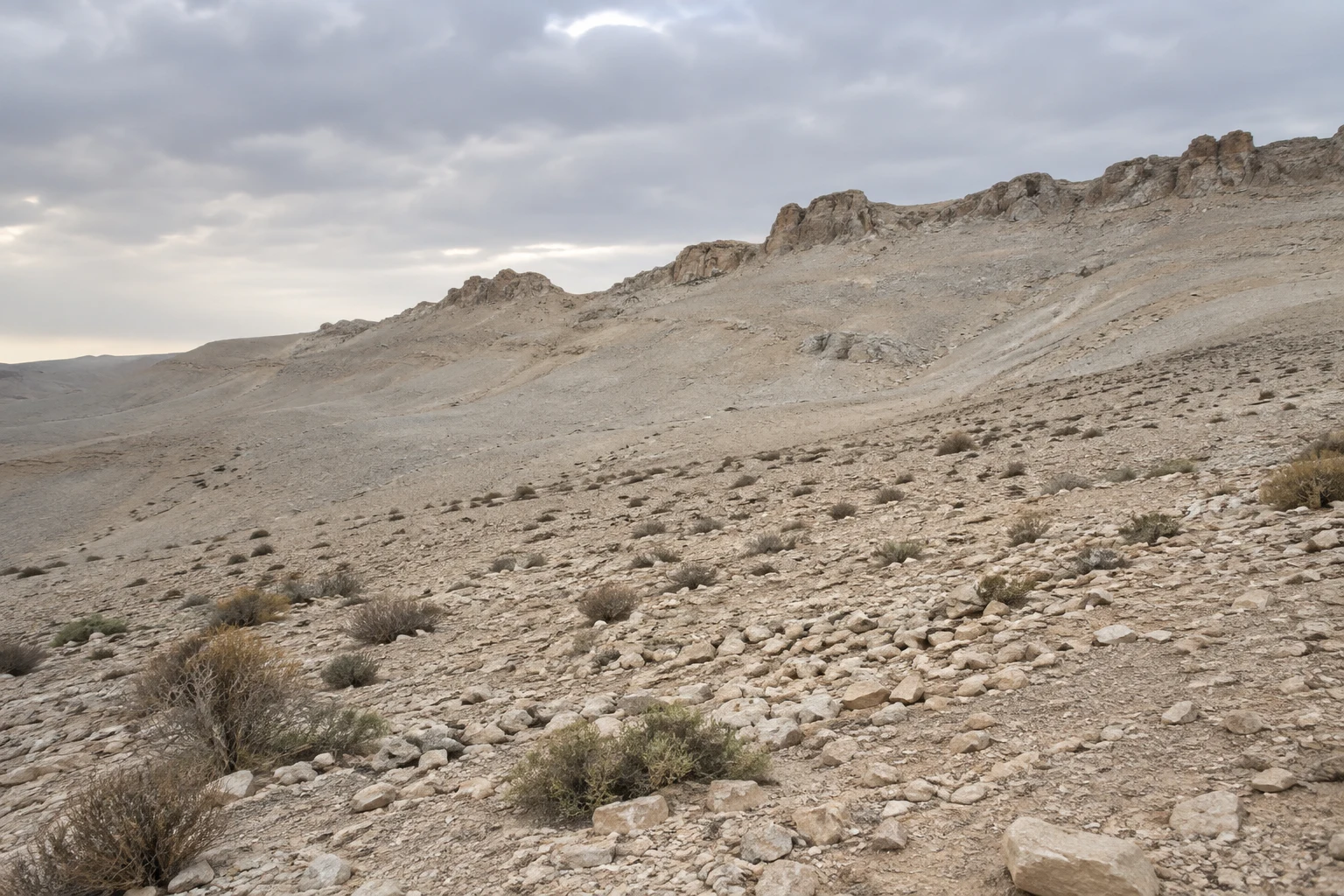 Pale scree slope with scattered scrub below a low eroded ridge and gray cloud.