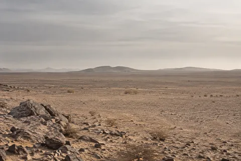 Stones and sparse scrub on a broad desert gravel plain beneath low hills and a pale gray sky.