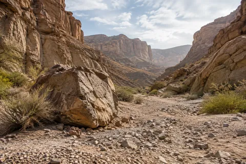 A large rough boulder beside shrubs and a dry gravel wash between wide canyon walls.
