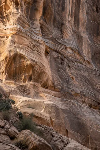 Close view of a layered sandstone wall with eroded recesses, dark weathering, and small shrubs below.