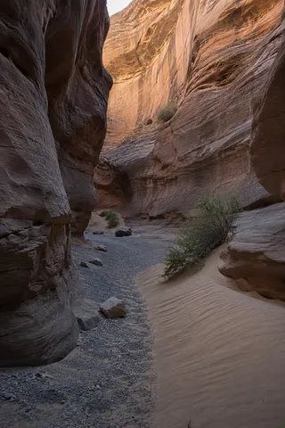 A gravel channel with scattered stones beside rippled sand and a shrub inside a narrow sandstone canyon.