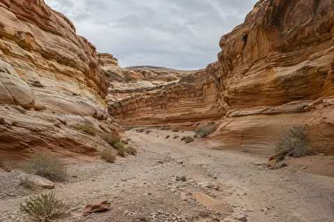 Wide desert canyon passage with horizontal cream and rust sandstone layers, pale gravel, and scattered shrubs.