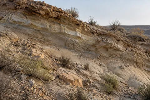 An exposed layered desert bank with pale sediment, loose stones, and sparse shrubs.