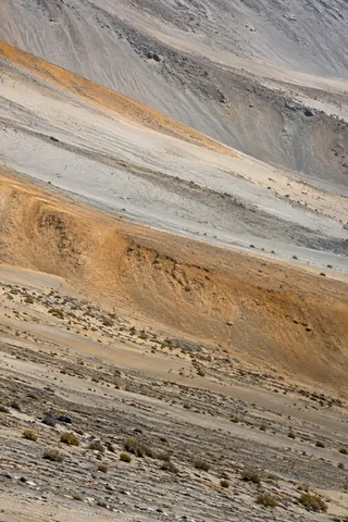 Diagonal gray, ivory, and ochre sediment bands on a desert slope with tiny shrubs and stones.