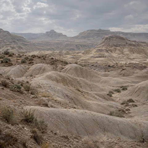 Rounded pale desert ridges with thin erosion lines and sparse shrubs below a cloudy gray sky.