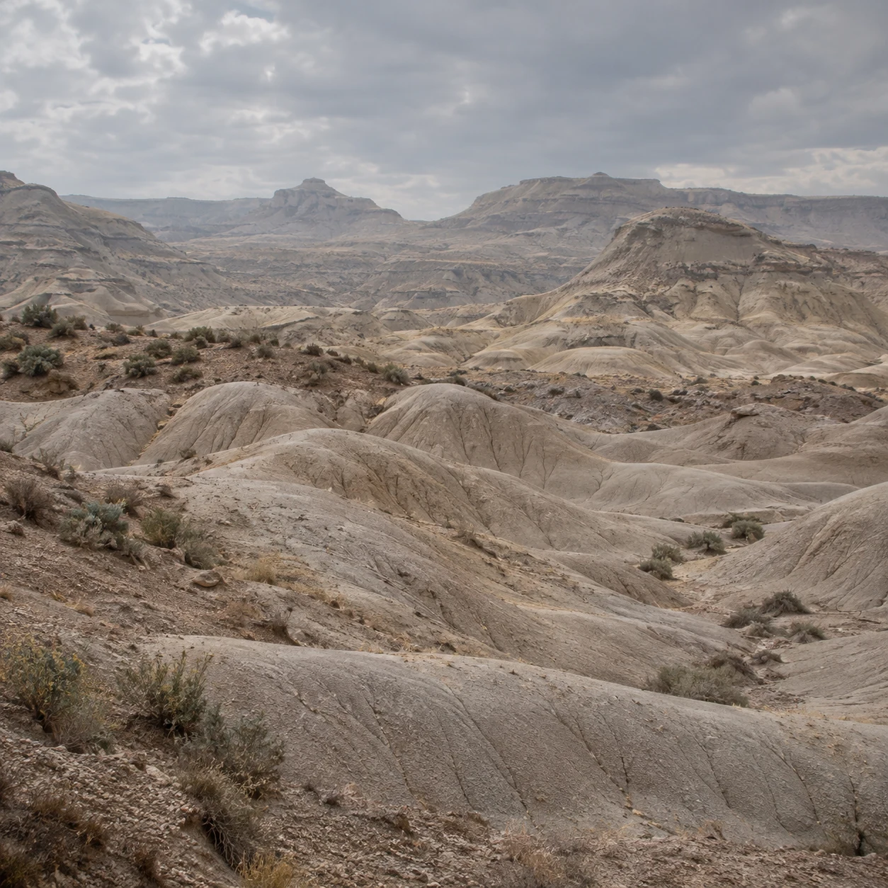Rounded pale desert ridges with thin erosion lines and sparse shrubs below a cloudy gray sky.
