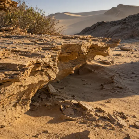 A thin layered rock ledge with fallen flakes on sand, a small shrub, and distant dunes in warm light.