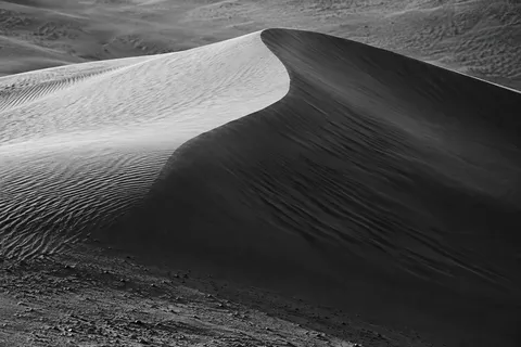 Black-and-white close landscape of a curved dune crest dividing bright rippled sand and a dark slope.
