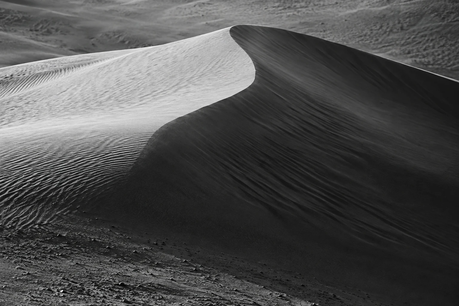 Black-and-white close landscape of a curved dune crest dividing bright rippled sand and a dark slope.