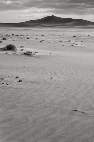 Black-and-white pale sand plain with sparse shrubs and a distant dark dune beneath clouds.