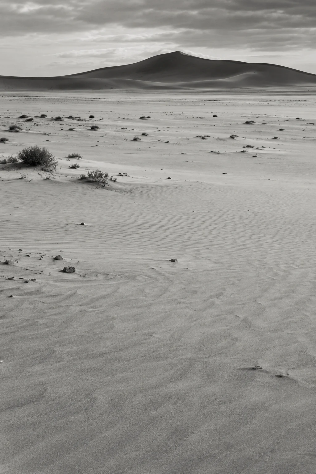 Black-and-white pale sand plain with sparse shrubs and a distant dark dune beneath clouds.