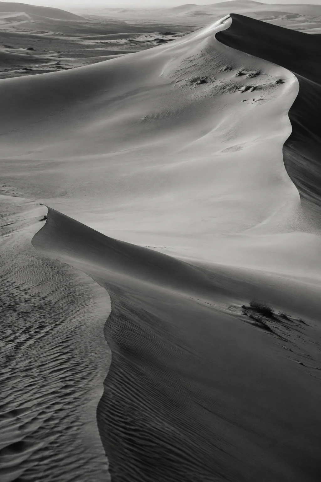 Black-and-white overlapping curved dune edges with dark near sand and a broad pale slope beyond.