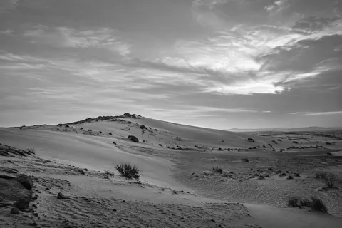 Black-and-white low desert ridge and sparse shrubs beneath a broad layered cloudy sky.