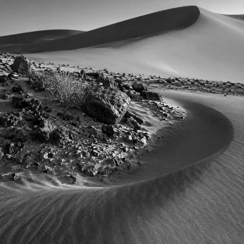 Black-and-white smooth sand curving around rough dark stones and sparse scrub below a dune crest.