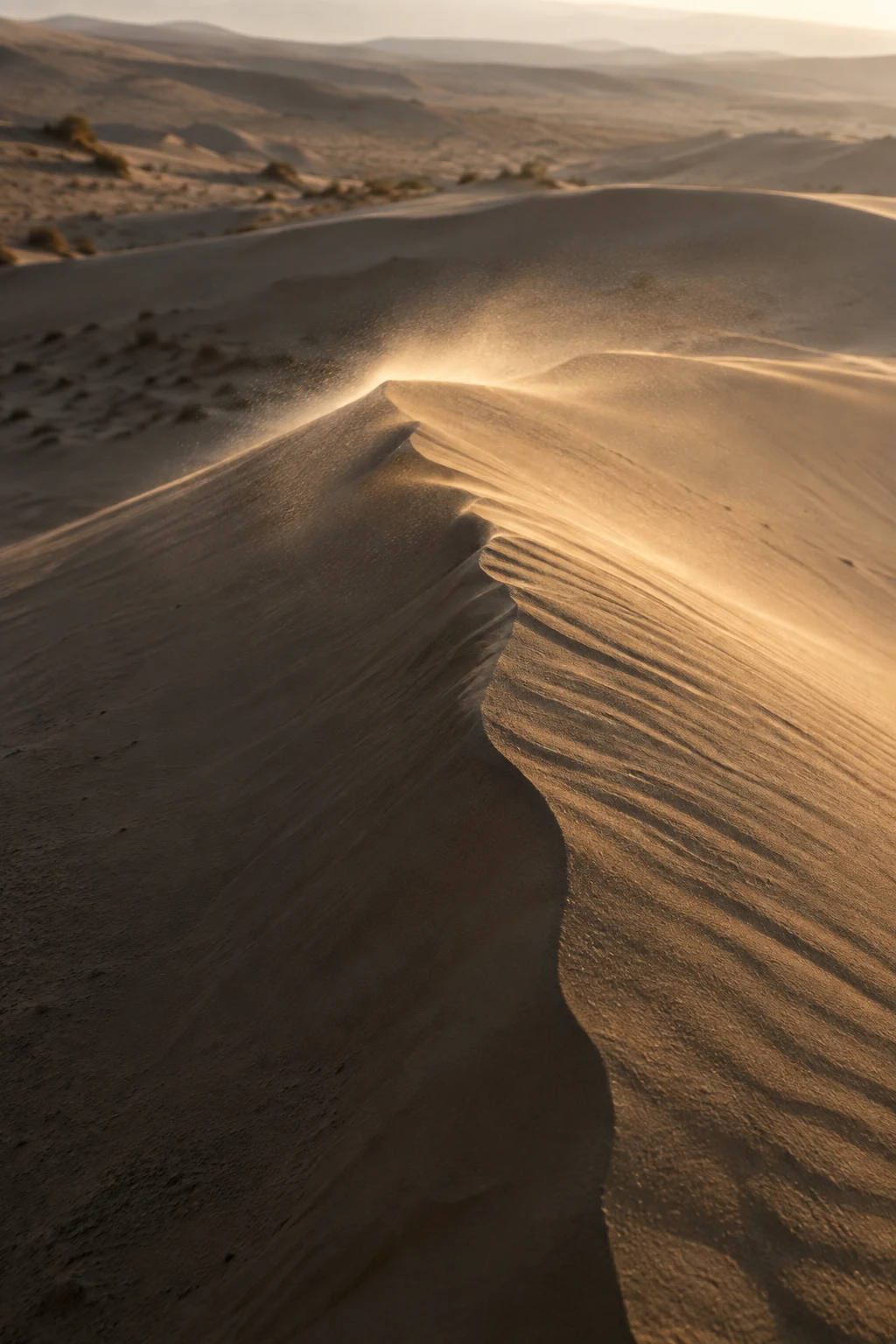 Fine sand blowing from an uneven dune crest in warm backlight above a dark slope.