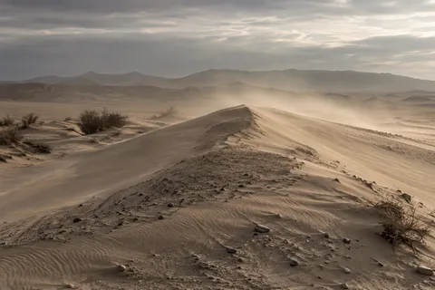 A low sandy ridge with gravel, ripples, and shrubs leading into dust beneath a cloudy sky.