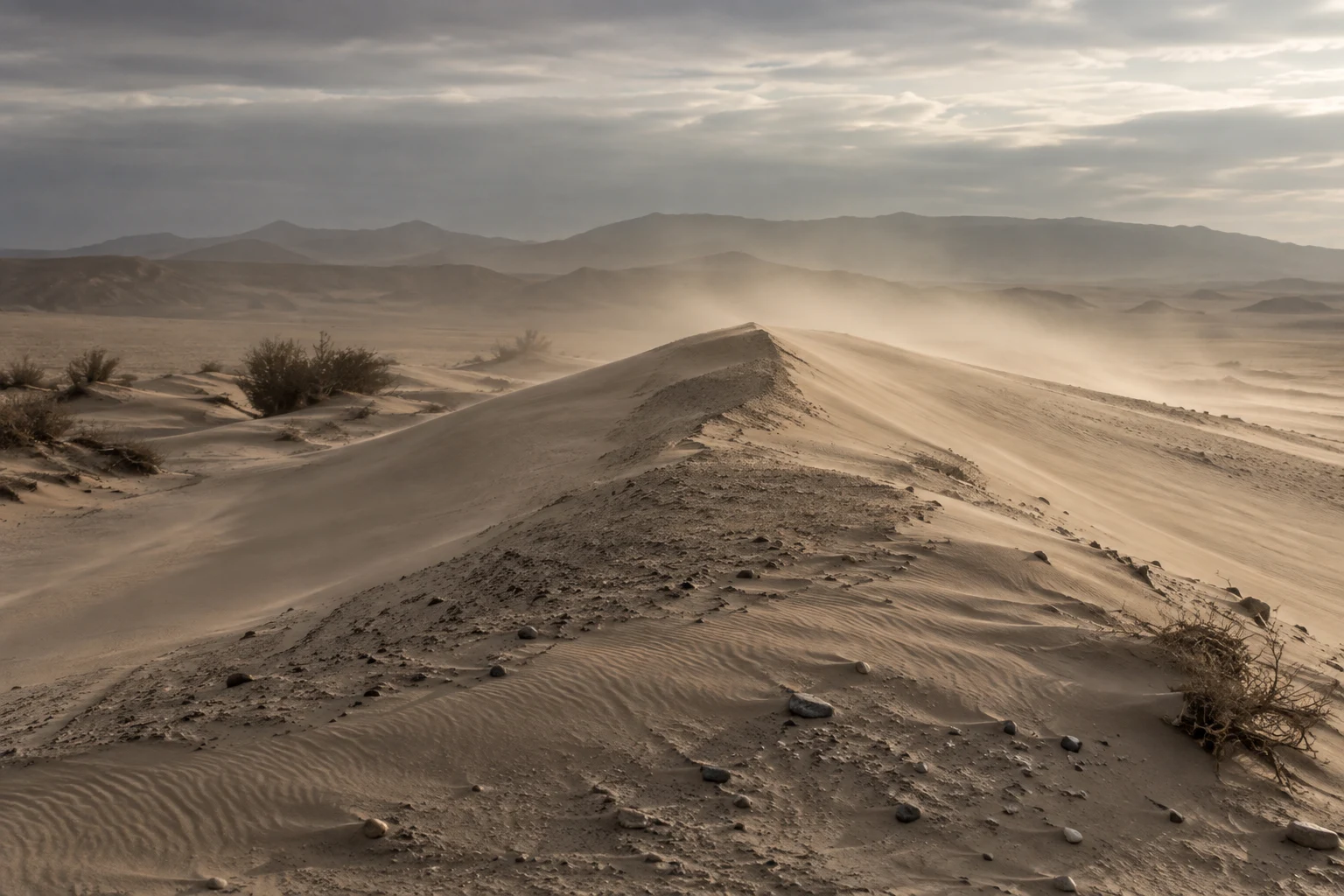 A low sandy ridge with gravel, ripples, and shrubs leading into dust beneath a cloudy sky.